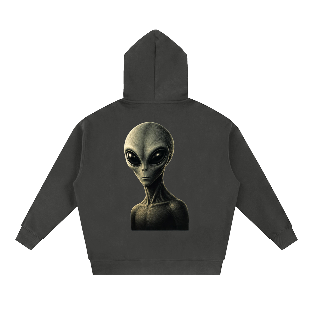 The Truth Is Out There Essential Oversized Fleece Boxy Hoodie - KR Woke Wear